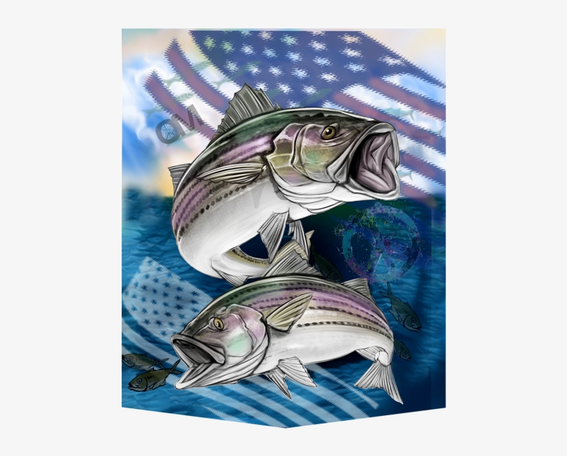 Om019- Striped Bass - Bass, transparent png download