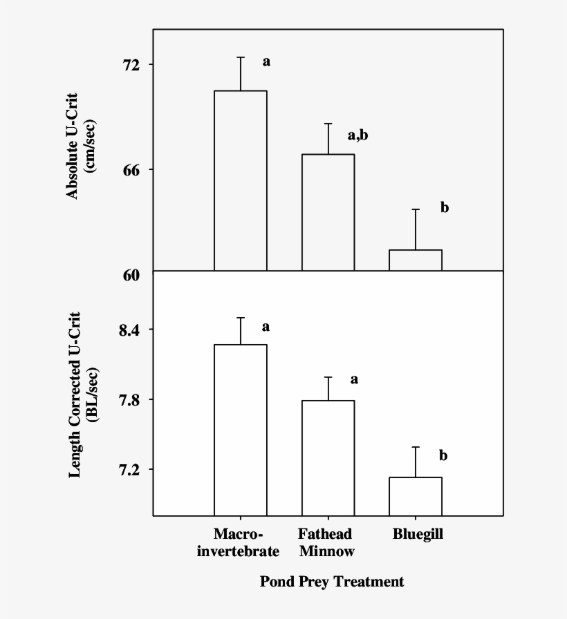 Swimming Performance Of Age-0 Largemouth Bass Following - Diagram, transparent png download