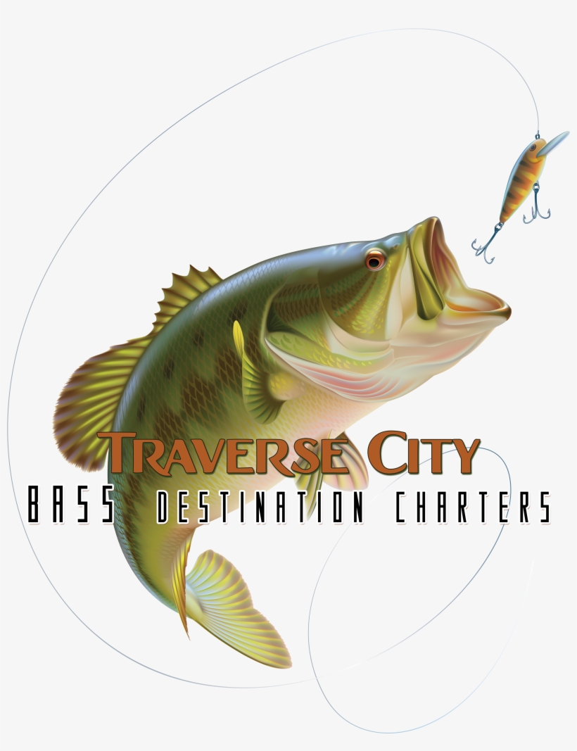 Bass Fish Png, transparent png download