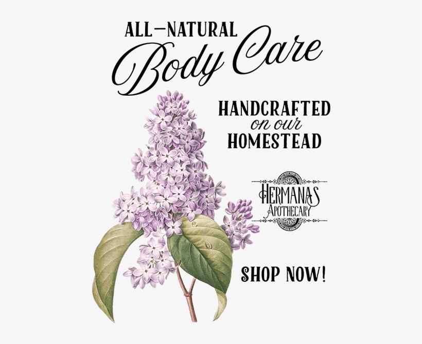 Add To Wishlist Loading - Botanical Maine Flower Prints, transparent png download