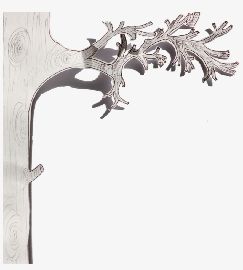 Pharmacy, transparent png download