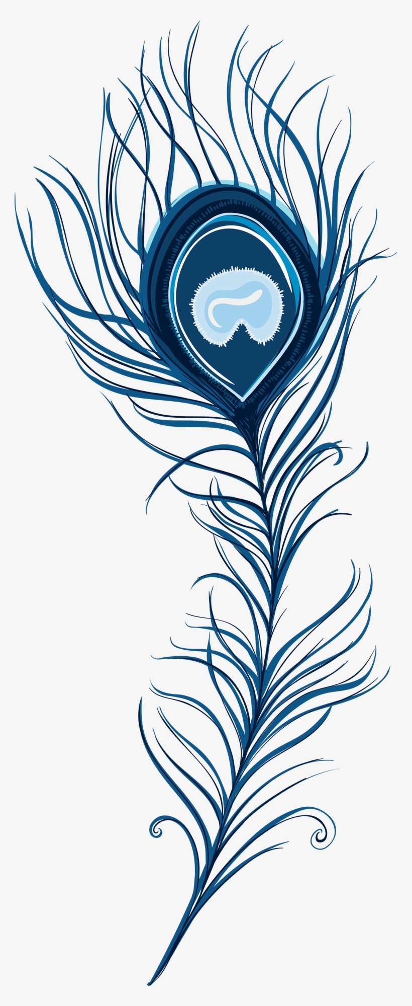 Peacock Feather, Top Mob - Peacock Feather Clip Art Png, transparent png download