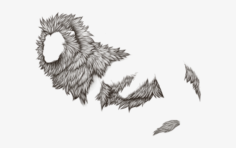 Lion Page Lioden - Lion, transparent png download