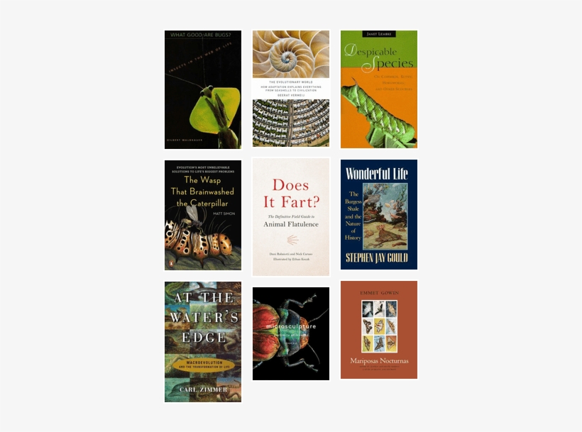 Beauty Of The Ugly - Evolutionary World: How Adaptation Explains Everything, transparent png download