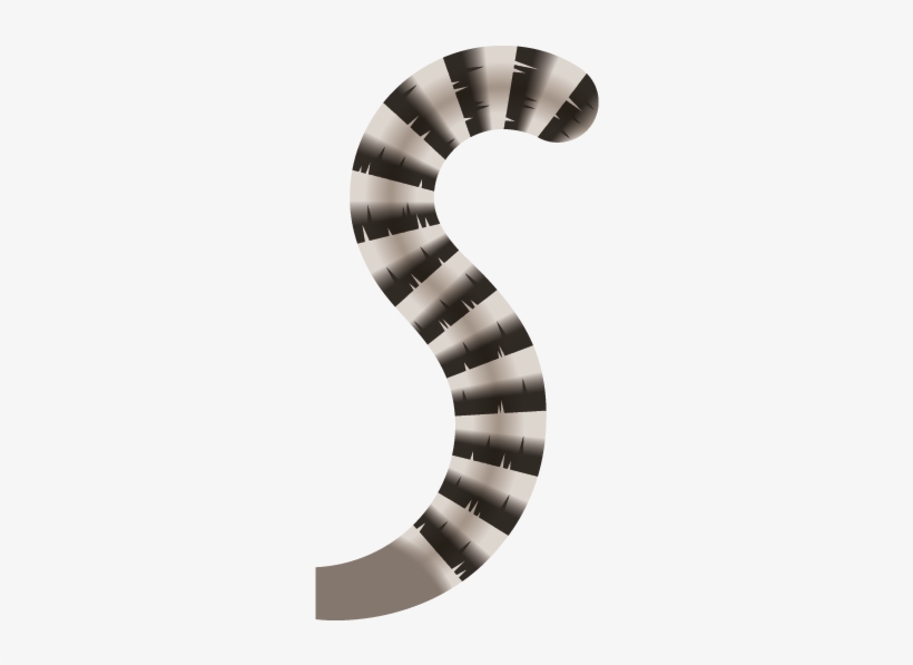 Lemur Tail Png - Northern Seahorse, transparent png download