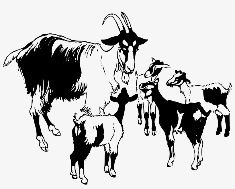 Goats Head Clipart Dairy Goat - Goats Clipart Black And White, transparent png download