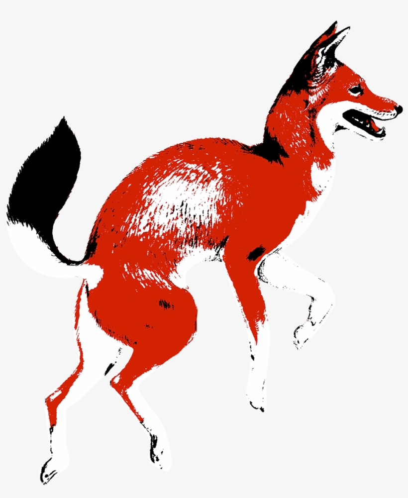 Red Fox Coffee Merchants, transparent png download