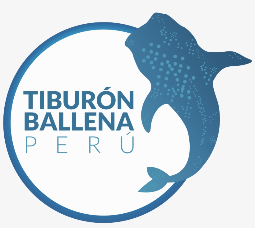 Tiburon Ballena Peru - Marine Invertebrates, transparent png download