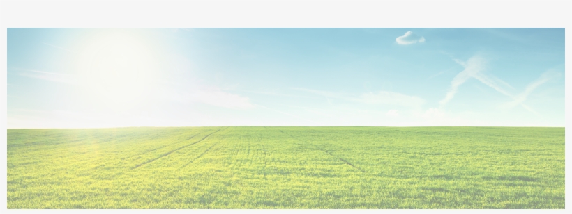 Robinson Center On Climate And Environmental Policy - Environmental Policy, transparent png download