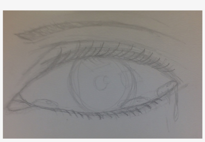 Eyelashes Clipart Watercolor - Library, transparent png download