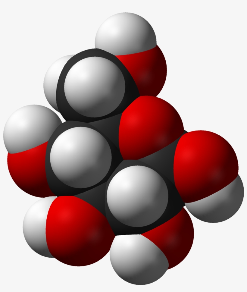 Organic Compounds Worksheet - Glucose Space Filling Model, transparent png download