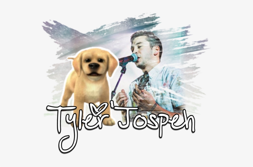 Profile Designed By Nevalnyn Graphics - Labrador Retriever, transparent png download