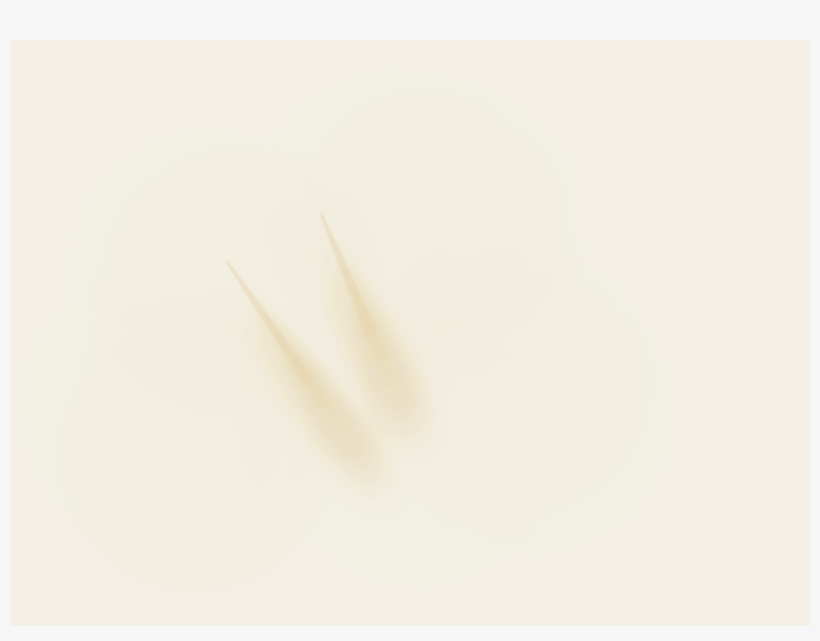 Inauguração Luz No Tears Left To Cry - Wood, transparent png download