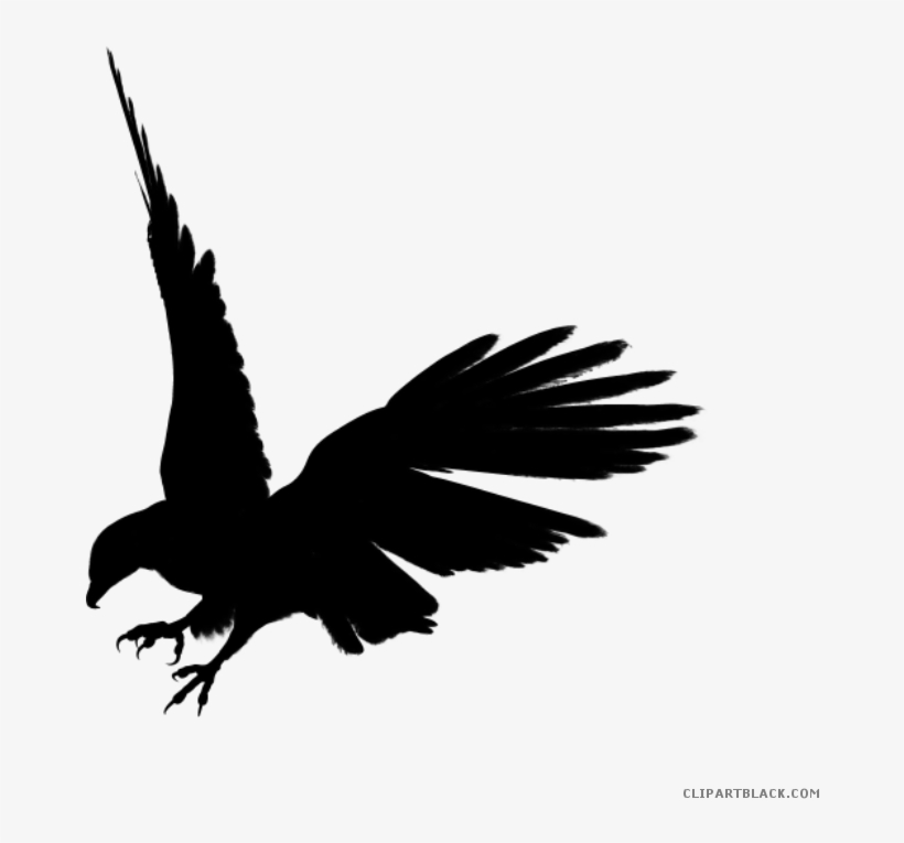 Eagle Clipart Silhouette - Eagles Silhouette, transparent png download