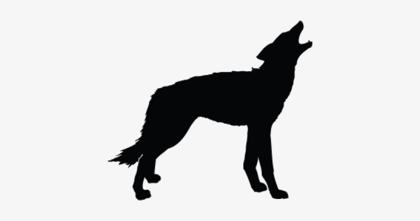 Wolf Silhouette Drawing - Animal Silhouette, transparent png download
