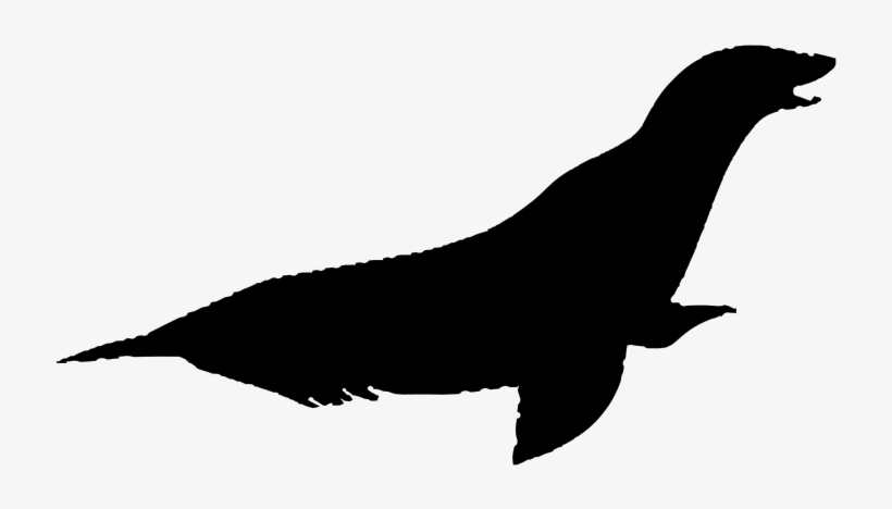 Eagle Silhouette Png - Lobo De Mar Animales Png, transparent png download
