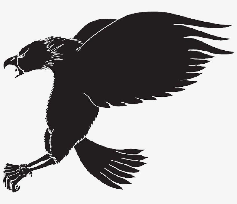Mb Image/png - Eagle Claw Silhouette, transparent png download