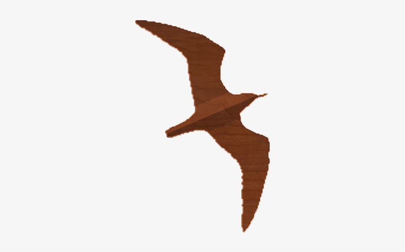 Seagull 01 Silhoette - Albatross, transparent png download