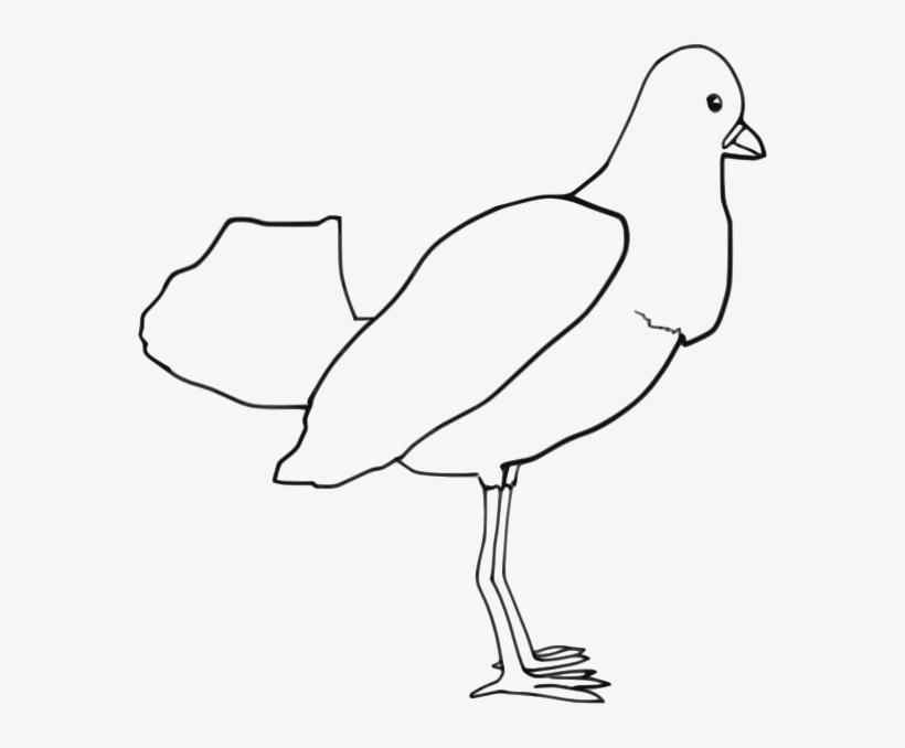 Bird Clip Art - Bird Drawings, transparent png download