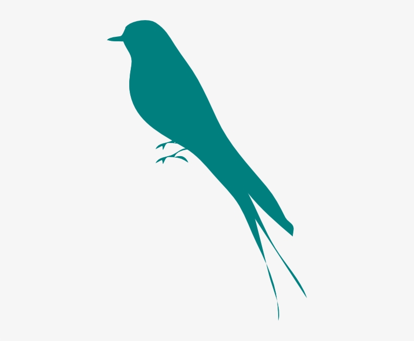 Cute Bird Silhouette - Mockingbird Black And White, transparent png download