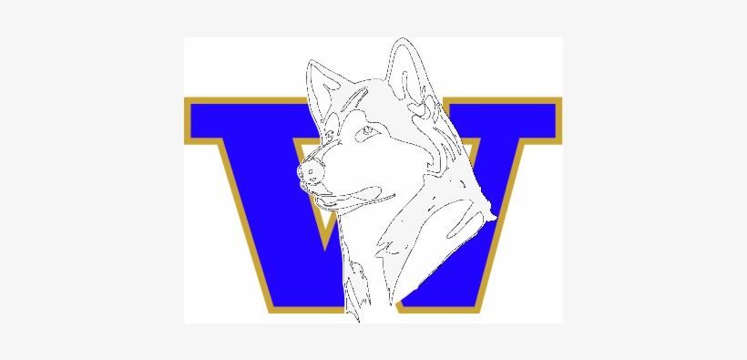Washington Huskies, transparent png download