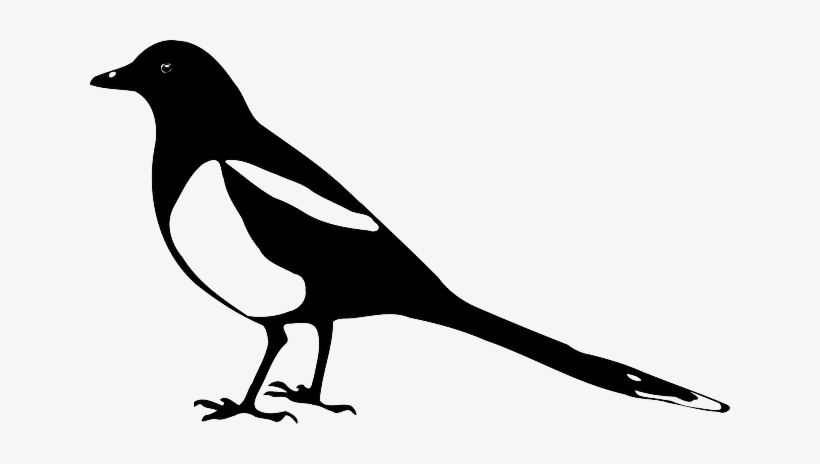 Magpie, Animal, Bird, Crow, Nature, Silhouette, Stencil - Magpie Silhouette, transparent png download