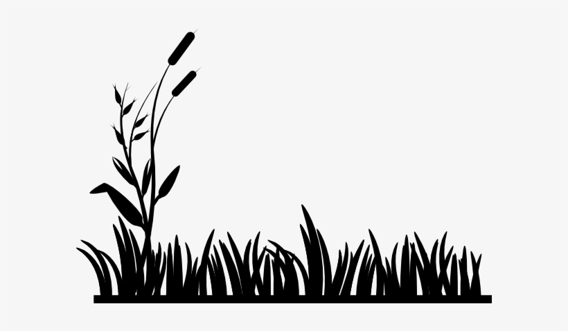 Clip Art Freeuse Library Clip Art At Clker Com Vector - Grass Clipart Black And White Vector, transparent png download