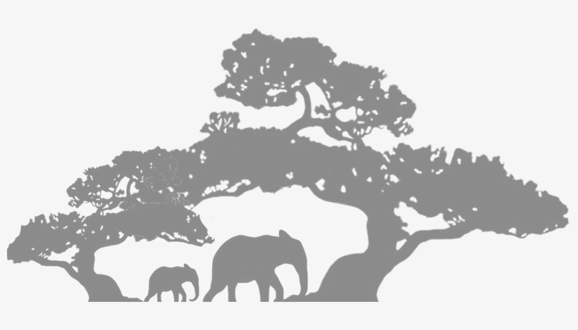 Bonsai Tree Silhouette, transparent png download