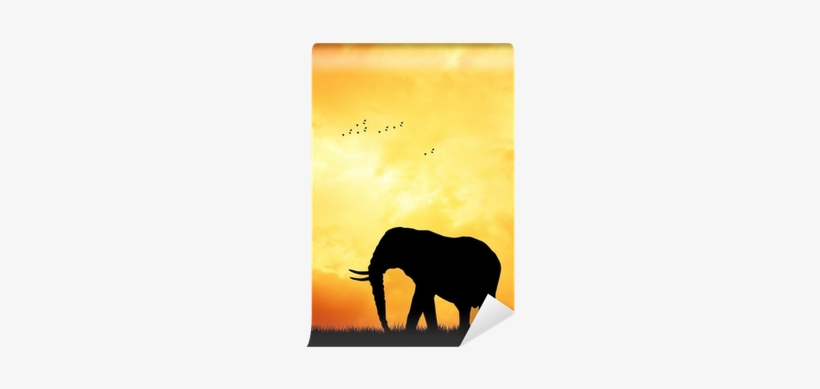 Indian Elephant, transparent png download