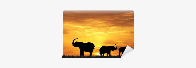 Silhouette, transparent png download