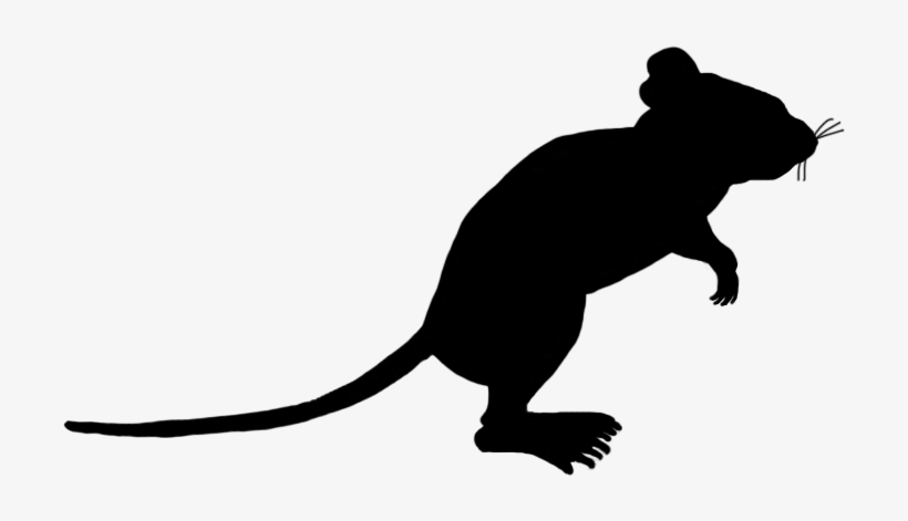 Mouse Silhouette Transparent Background, transparent png download