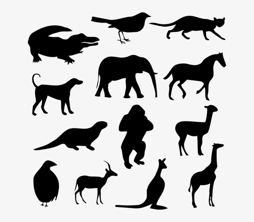 Alligator, Animal, Bird, Cat, Crocodile, Dog, Elephant - Animals Silhouette Png, transparent png download