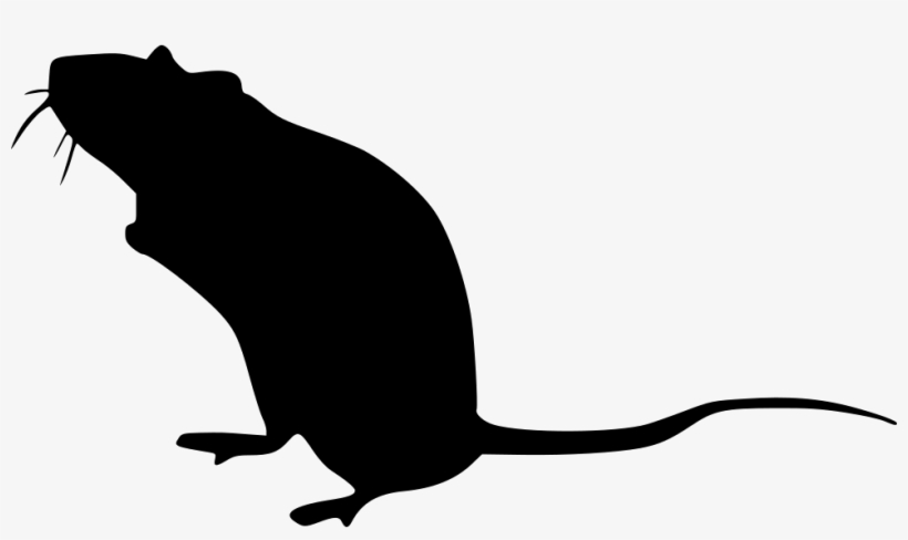 Png File Svg - Rat, transparent png download