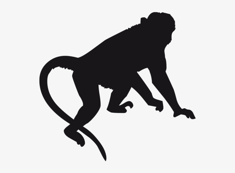 Free Download Orangutan Silhouette Clipart Monkey Orangutan - Monkey Etching, transparent png download