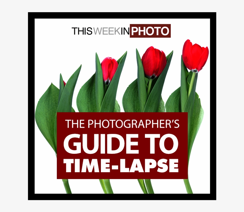 Lightroom Preset Pack - Photography, transparent png download