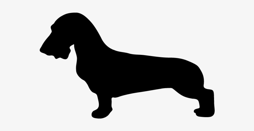 The Gallery For > Wiener Dog Silhouette Png - Dog, transparent png download