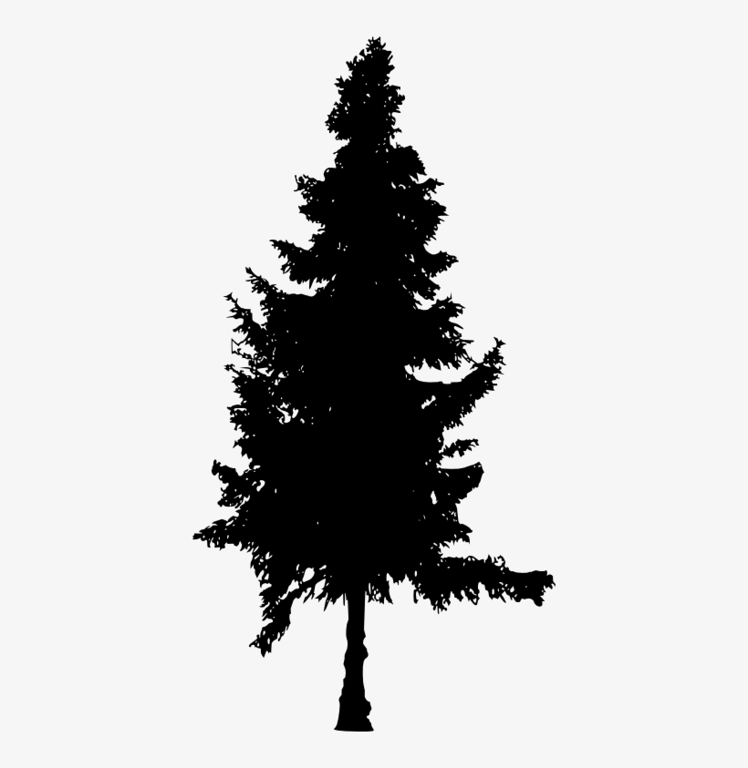 30 Pine Tree Silhouette Vol - Big Pine Tree Silhouette, transparent png download