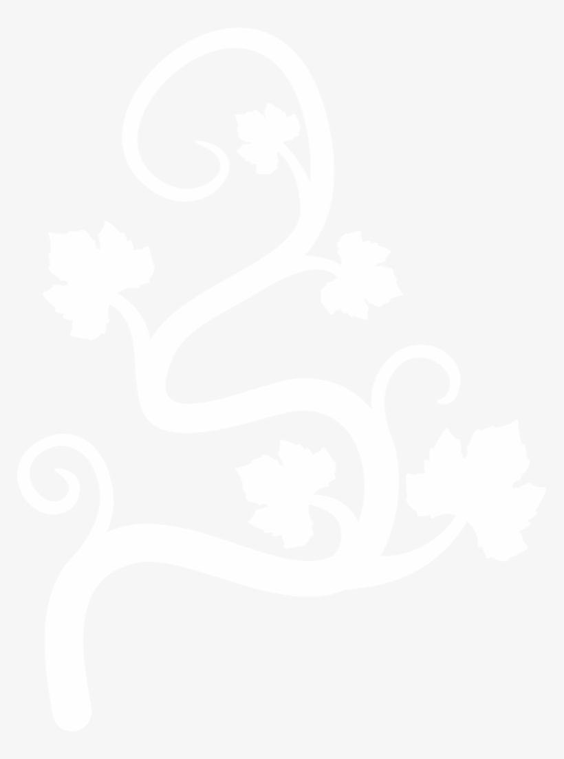 Pumpkin Vine Silhouette By Paperlightbox On Deviantart - Pumpkin Vine Silhouette, transparent png download