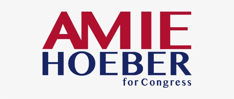Mdgop Candidate - Amie Hoeber For Congress, transparent png download