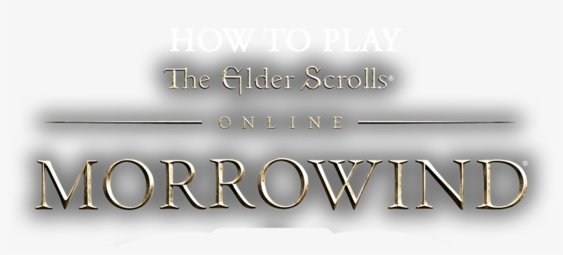On 6 June, The Elder Scrolls Online Released The Next - The Elder Scrolls, transparent png download
