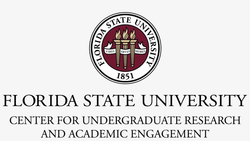 Click On Design To Understand The Structure Of Our - Florida State University College Of Medicine, transparent png download