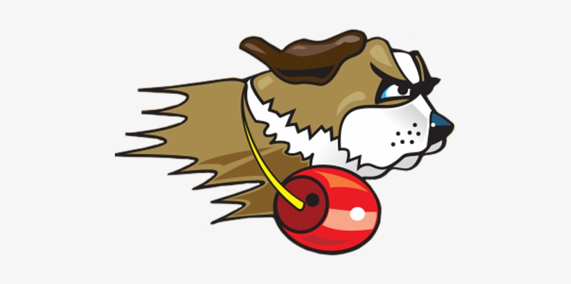 Team Logo - University Of Saint Francis Logo, transparent png download