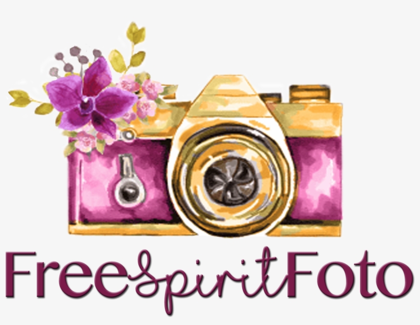 So You Might See The Old Logo Every Now And Then, But - Photography, transparent png download
