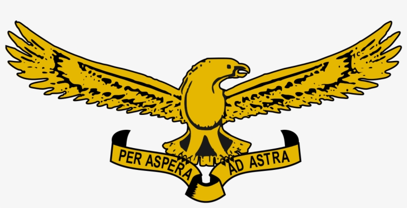 South African Air Force Logo, transparent png download