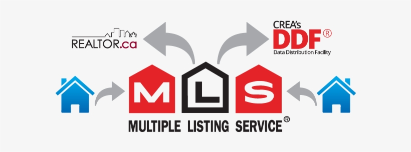 With The Purchase Of Any Of Our Owner Participation - Mls Ca, transparent png download