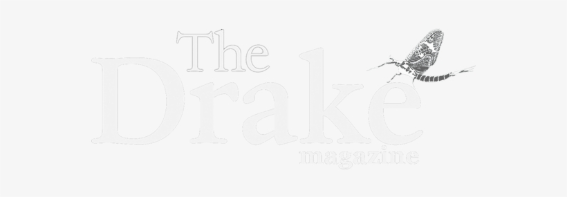 Drake Magazine - Dark N Lovely Logo, transparent png download