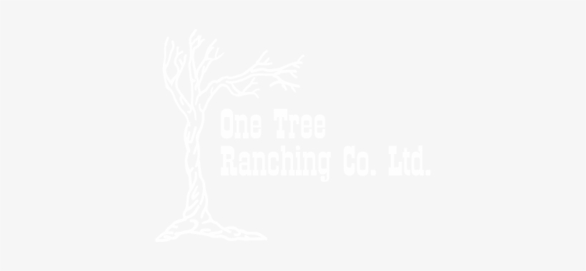 One Tree Longhorns - Sandy Creek Junction Ii, transparent png download