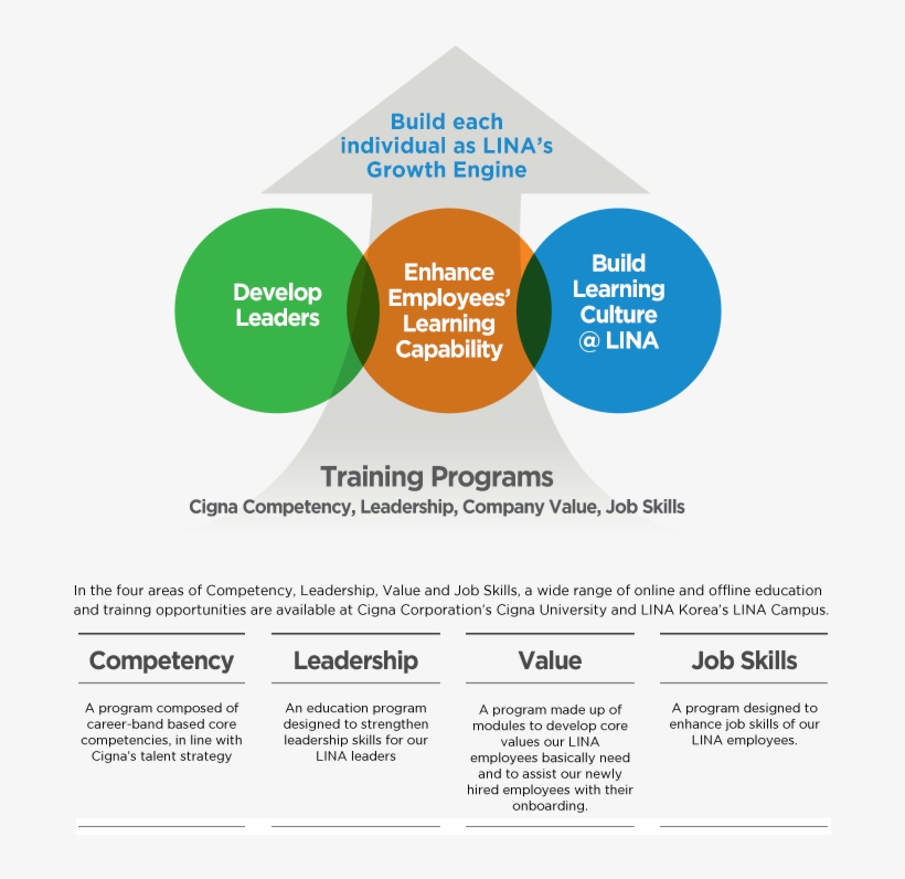 Korea Training Programs - Training, transparent png download