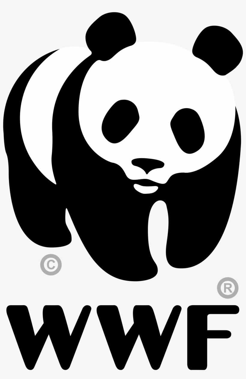 2000px-wwf Logo - Svg - World Wide Fund For Nature, transparent png download
