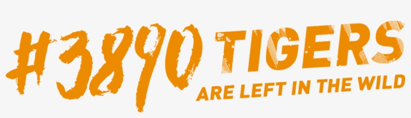 In 2017, Tiger Beer And Wwf Joined Efforts To Fight - Spearhead Beer Logo, transparent png download